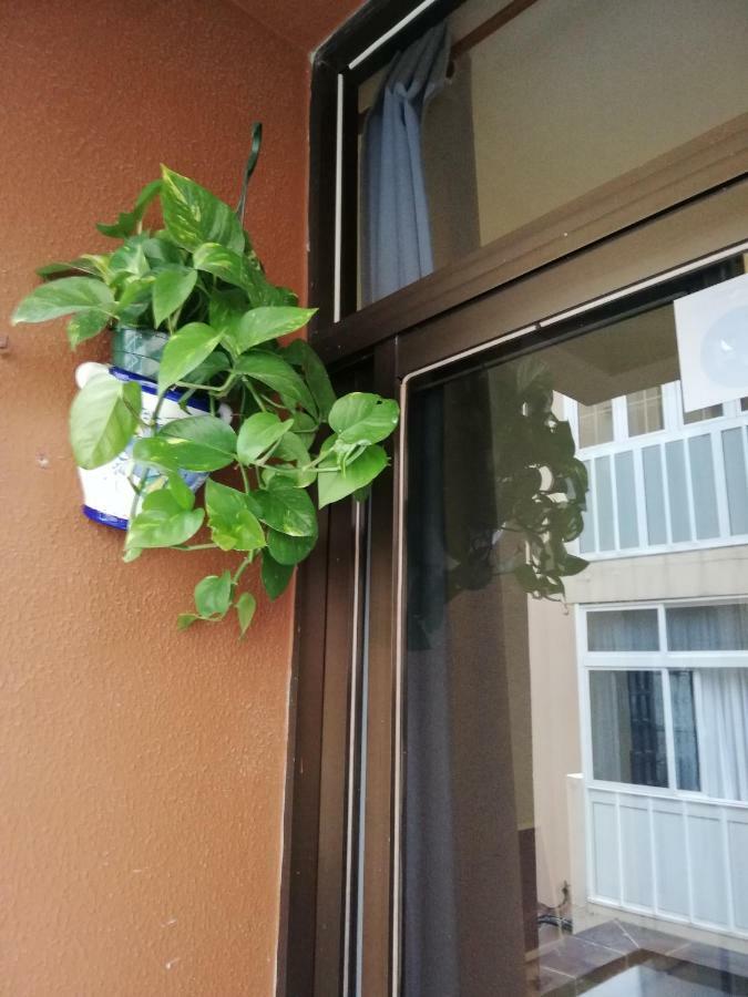 Appartement Babelia à Las Palmas de Gran Canaria Extérieur photo